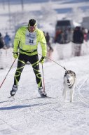 Lenk 2013